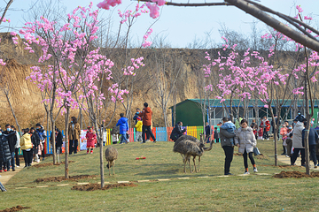 花海汉窑·那年那月第 21 张图片