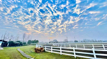 诺威骑士马术中心