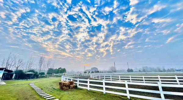 诺威骑士马术中心