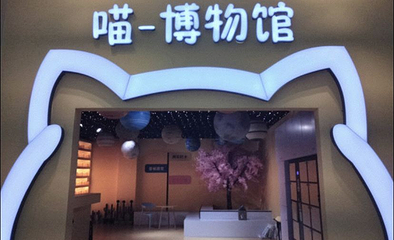 喵-博物馆第 1 张图片