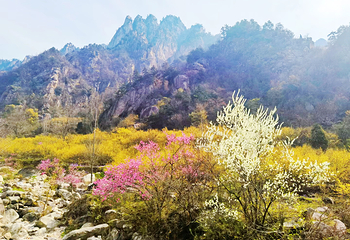 老界岭旅游度假区第 70 张图片