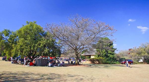 比勒陀利亚植物园