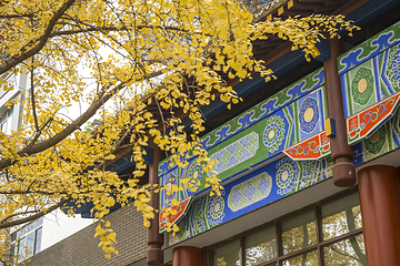 四川大学(望江校区)第 12 张图片