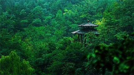 九如山休闲旅游度假区第 182 张图片