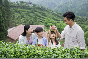 茶溪谷第 71 张图片