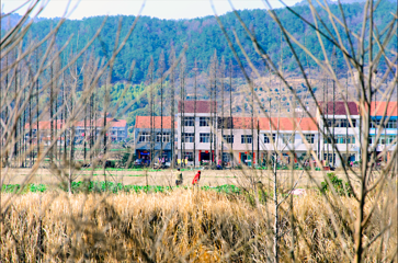 黄梅袁夫稻田农场第 22 张图片