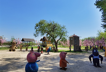 太阳岛(鸭绿江国家级风景名胜区店)第 19 张图片