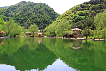 翠枫山自然风景区第 21 张图片
