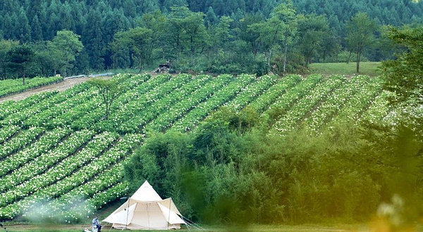 大木岩上花园景区