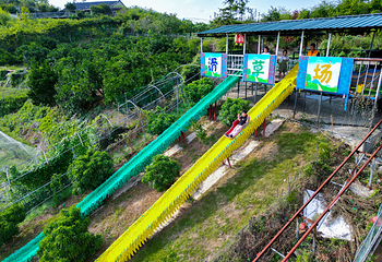 依山农场第 10 张图片