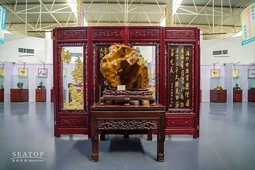 龙湖奇石第 12 张图片