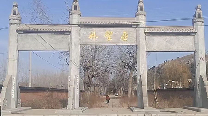 孟林第 1 张图片