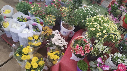 花木大世界(如皋)国际园艺城第 1 张图片