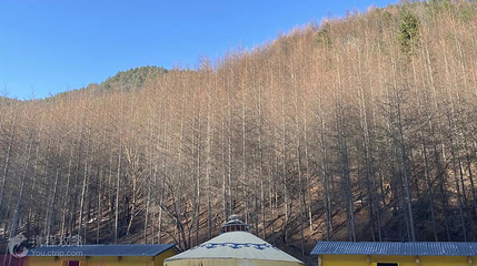巴山湫池旅游区第 3 张图片