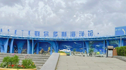 鄂尔多斯海洋馆第 2 张图片