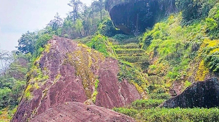 武夷山牛栏坑第 1 张图片