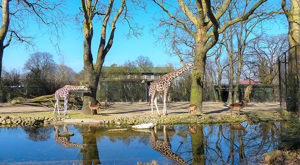 哈根贝克动物园