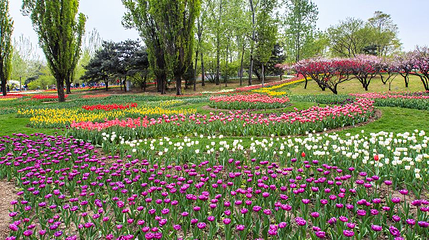 新枫林花海无忧牧场第 1 张图片