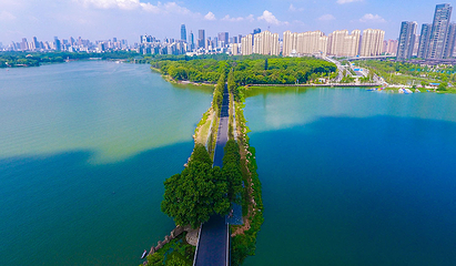东湖绿道观光车第 4 张图片