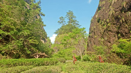 武夷山风景名胜区-九龙窠第 1 张图片