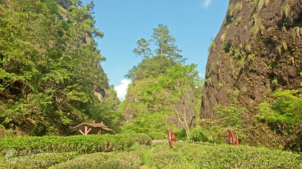 武夷山风景名胜区-九龙窠第 2 张图片