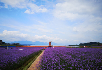 庐山西海花千谷第 15 张图片