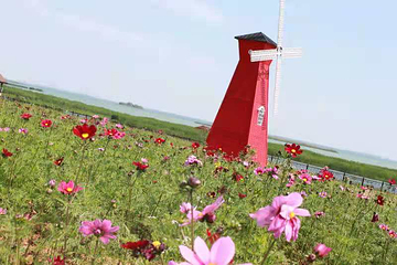 铃兰花海乐园第 27 张图片