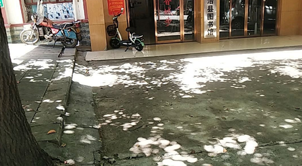 城步苗族自治县图书馆