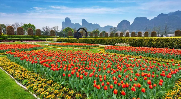 龙虎山花语世界景区