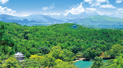 逍遥湖景区第 8 张图片