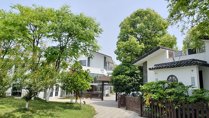 田水湾漫花小镇第 19 张图片