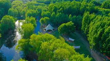 嚒嚒兽梦幻森林