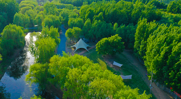 嚒嚒兽梦幻森林