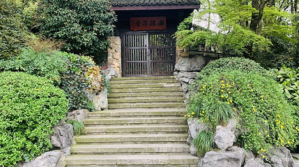 龙井山园第 1 张图片