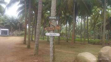 长滩雨林北海边沙滩