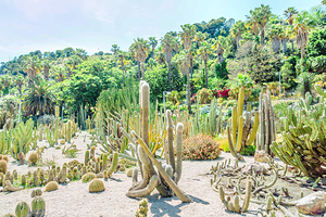 巴塞罗那植物园