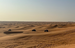 VIP Desert Safari Dubai