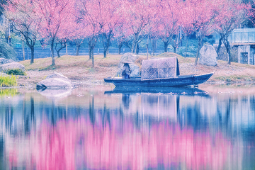 浣花溪公园第 4 张图片