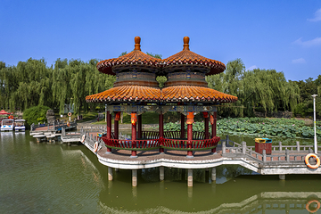 中国国花园第 19 张图片