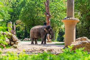 海拉布伦动物园