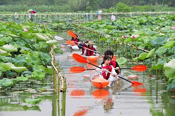 下渚湖·湿地公园第 31 张图片