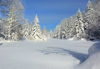 长白山仙峰雪岭景区第 33 张图片