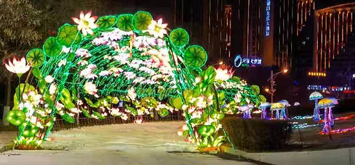 沈阳奥体冰雪嘉年华第 66 张图片