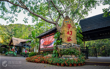呀诺达雨林文化旅游区-梦幻谷第 10 张图片