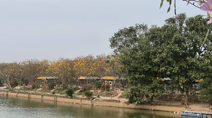 仙眷花洲花海公园第 1 张图片