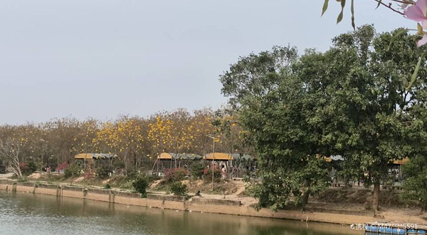 仙眷花洲花海公园