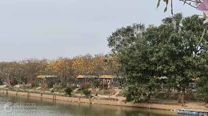 仙眷花洲花海公园第 3 张图片