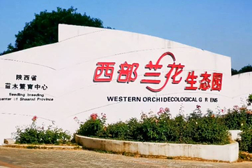 西部兰花生态园第 1 张图片