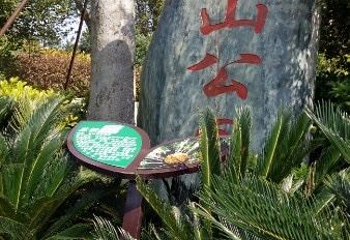 玉林市狮子山公园第 1 张图片