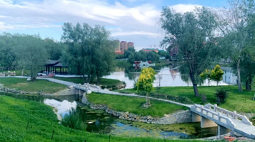 阿勒泰天鹅湖公园